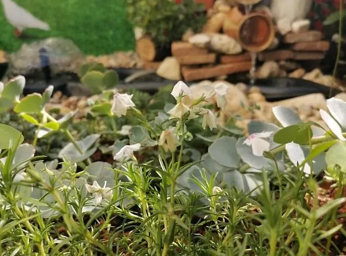 Apartman Marina Poreč